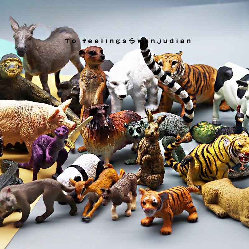 Kangaroo Kids Education - Educational Realistic Animal Models Toys for