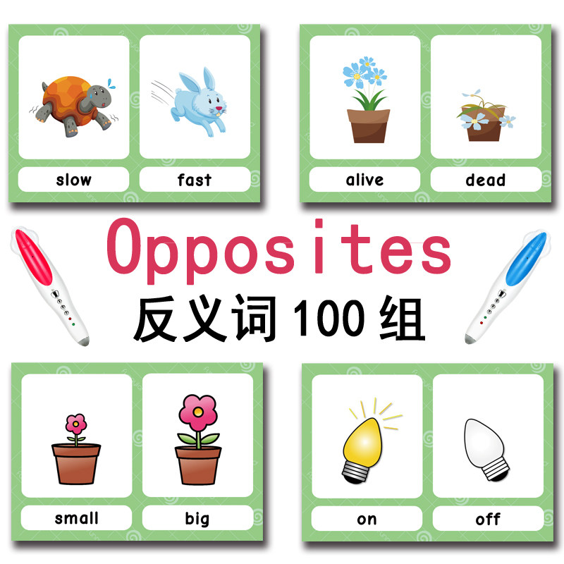 The 100 Groups Opposites Flash - English Kids Education 리뷰 및 가격