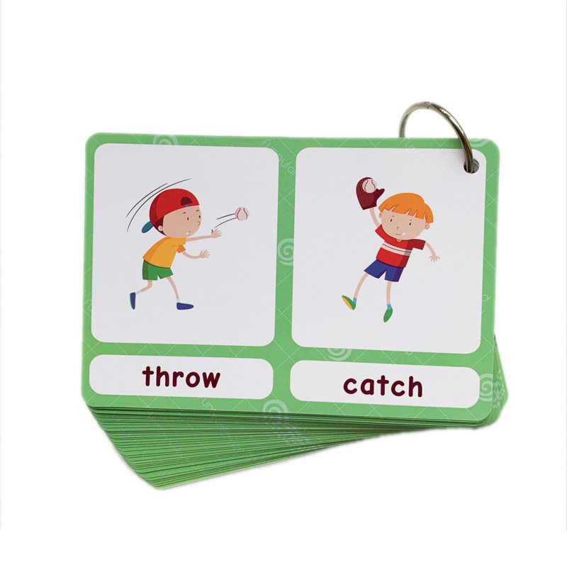 The 100 Groups Opposites Flash - English Kids Education 리뷰 및 가격