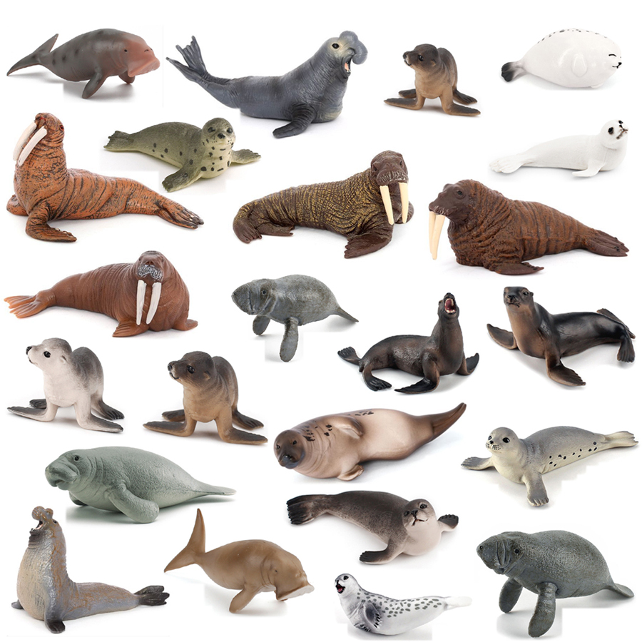 Realistic Dugong Manatee Walru - Kids Education Fun 리뷰 및 가격