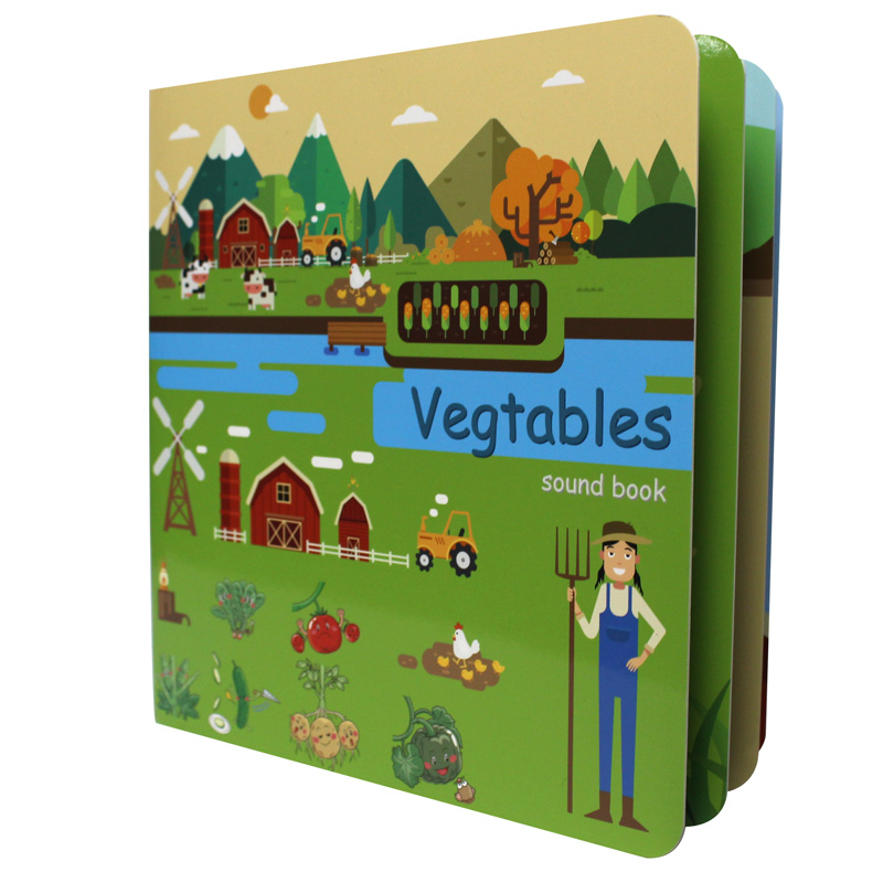 Custom Board Books for Babies  - Kids Education Drawing 리뷰 및 가격