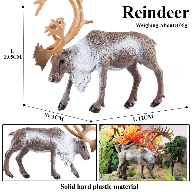 Oenux Zoo Forest Animals Model - Kangaroo Kids Education 리뷰 및 가격