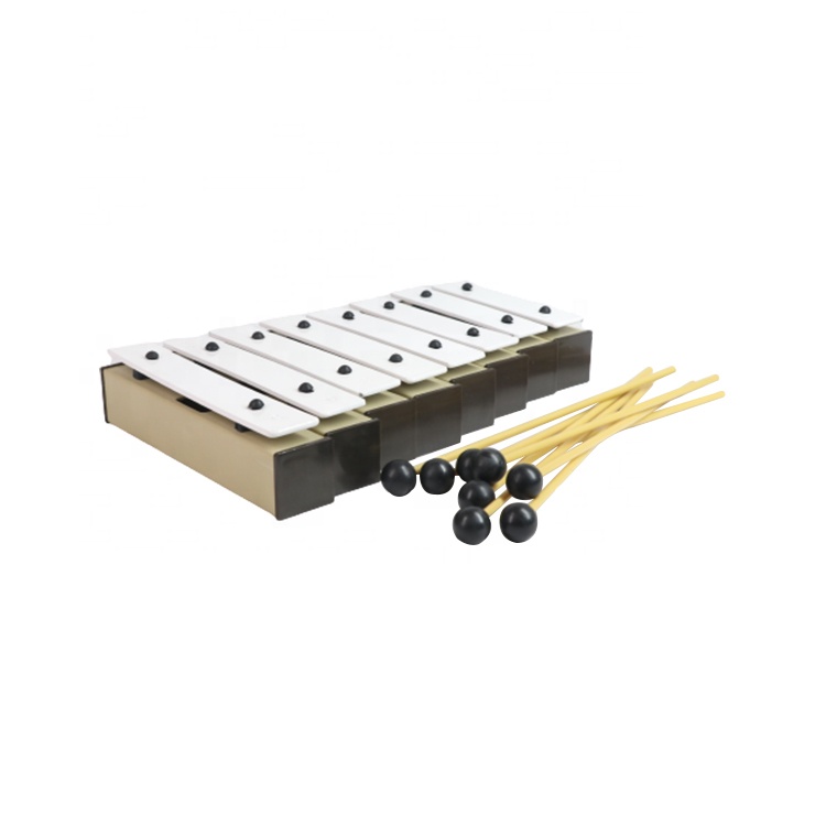Orff Gong Xylophone Metallopho - Kids Education Help 리뷰 및 가격