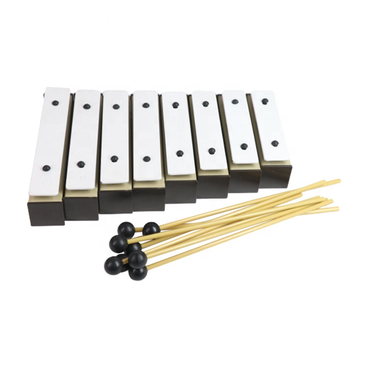 Orff Gong Xylophone Metallopho - Kids Education Help 리뷰 및 가격