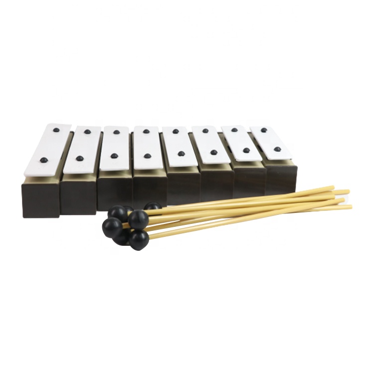Orff Gong Xylophone Metallopho - Kids Education Help 리뷰 및 가격