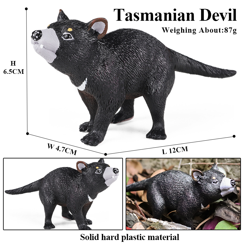 Oenux Classic Australian Wild  - Kangaroo Kids Education 리뷰 및 가격