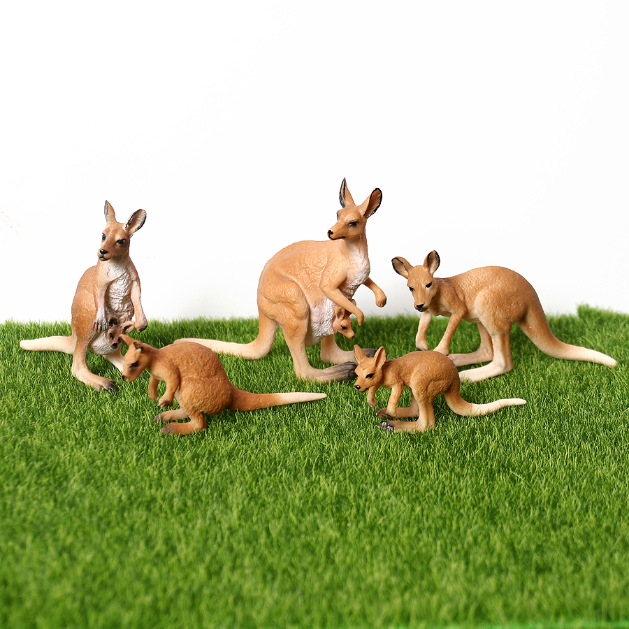 Realistic Australian Wild Anim - Kangaroo Kids Education 리뷰 및 가격