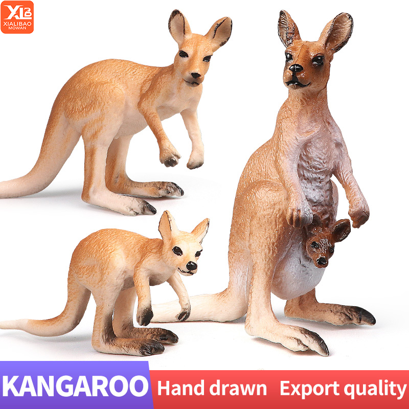 New Wildlife World Kangaroo Se - Kangaroo Kids Education 리뷰 및 가격