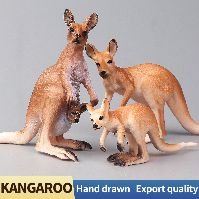 New Wildlife World Kangaroo Se - Kangaroo Kids Education 리뷰 및 가격