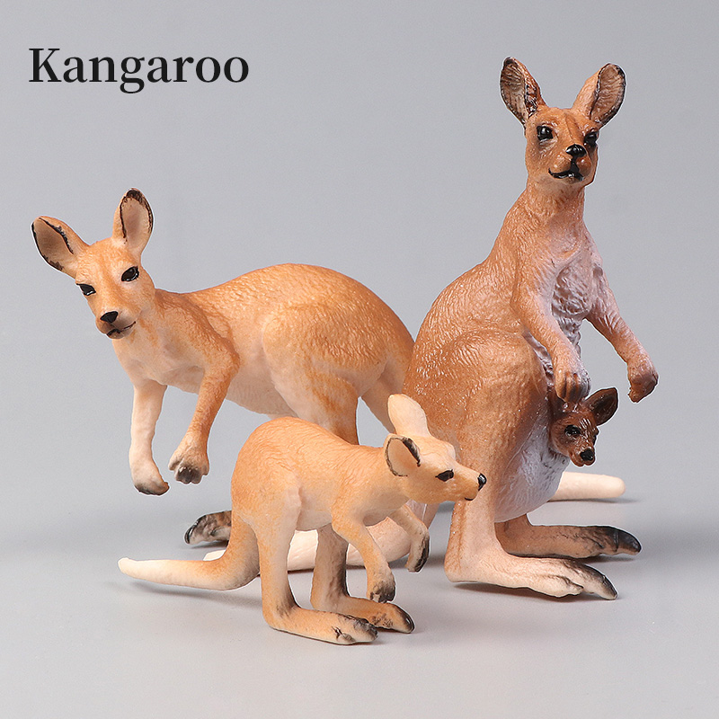 New Wildlife World Kangaroo Se - Kangaroo Kids Education 리뷰 및 가격