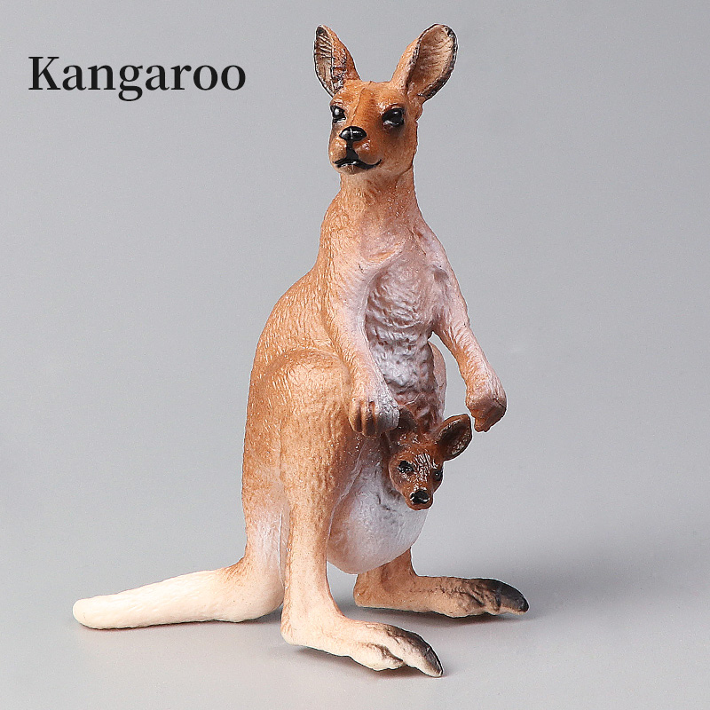 New Wildlife World Kangaroo Se - Kangaroo Kids Education 리뷰 및 가격