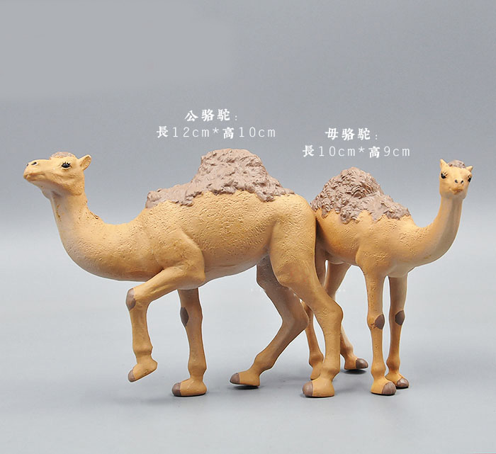 Simulation Animals Model Toy W - Kangaroo Kids Education 리뷰 및 가격