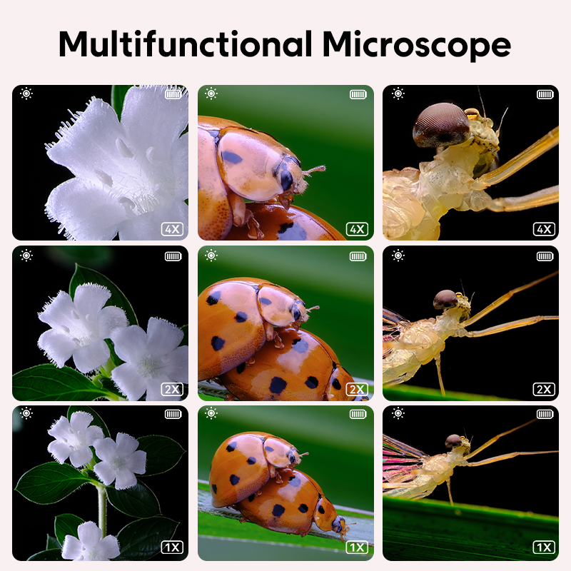 Mini Kids Optical Microscope W - Kids Education Video 리뷰 및 가격