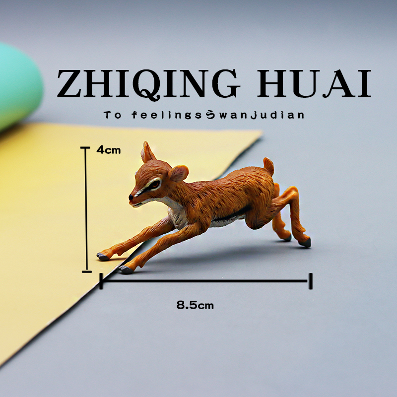 Educational Realistic Animal M - Kangaroo Kids Education 리뷰 및 가격